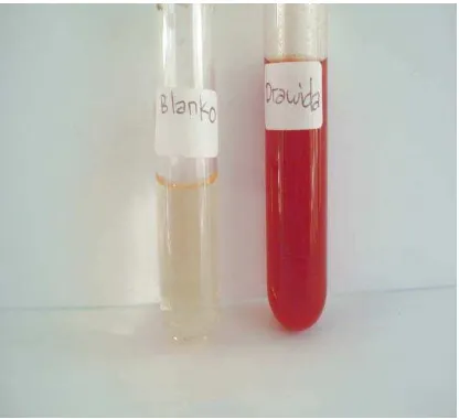 Gambar 13. Hasil Analisis Kualitatif  Magnesium dengan Pereaksi Dinatrium Hidrogen Fosfat + Ammonium Klorida + Ammonium Hidroksida