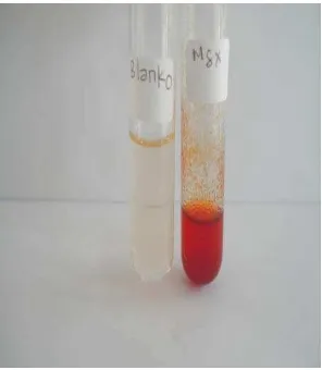 Gambar 15. Hasil Analisis Kualitatif  Magnesium pada Cacing Tanah  Megascolex sp dengan Pereaksi Dinatrium Hidrogen Fosfat + Ammonium Klorida + Ammonium Hidroksida