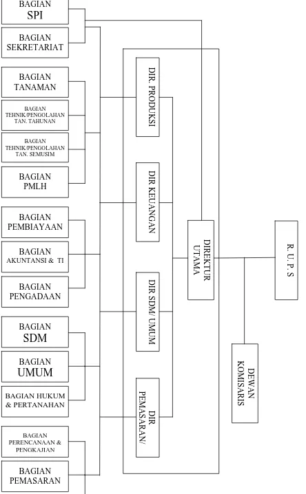 Gambar 2. Struktur Organisasi PTPN II (Persero) Tanjung Morawa  