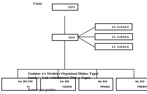 Gambar 4.1 Struktur Organisasi Dinkes Taput Sumber: Unit Administrasi Dinkes Taput 