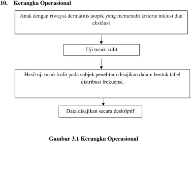 Gambar 3.1 Kerangka Operasional 