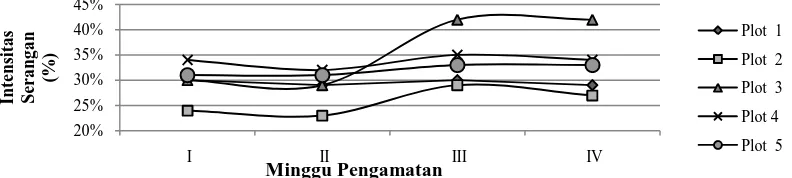 Gambar 1. Intensitas Serangan Helopeltis spp. pada Buah Kakao yang Diaplikasikan Cendawan Aspergillus sp