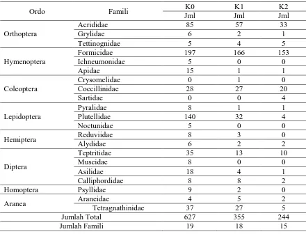 Tabel 1. Jumlah Ordo, Famili dan Individu Arthropoda Pada Pertanaman Kubis  
