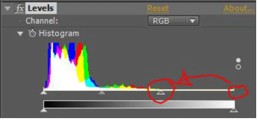 Gambar 6. Setting atribut levels pada After Effects