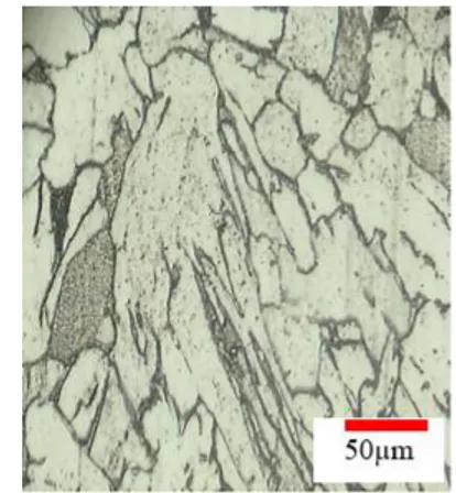 Gambar 2. Struktur mikro daerah HAZ pada hasil pengelasan SMAW dengan masukan panas, (a) 1,97 kJ/mm (b) 4,60  kJ/mm (c) 11,50 kJ/mm 