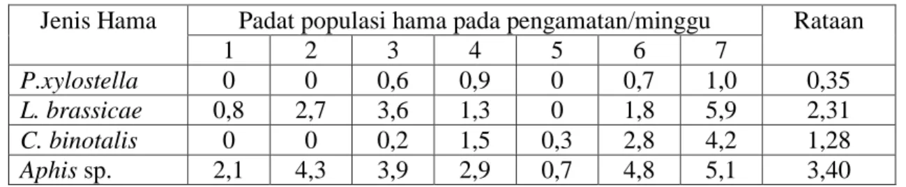 Tabel 2. Jenis dan rataan padat populasi hama pada tanaman perangkap Collard  Jenis Hama  Padat populasi hama pada pengamatan/minggu  Rataan 