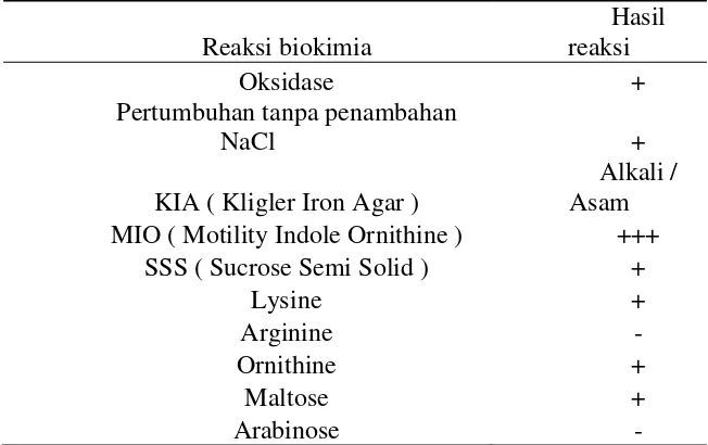 Tabel 1. Reaksi Uji Biokimia V. Cholerae 