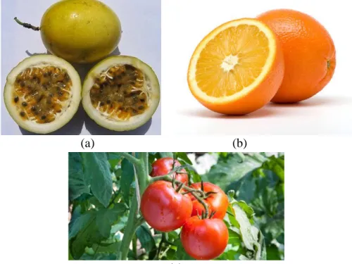 Gambar 1. (a) Markisa ; (b) Jeruk ; (c) Tomat 
