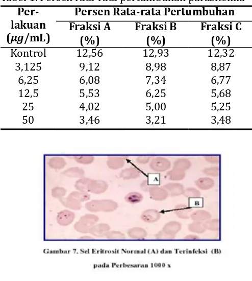 Gambar 1. Sel eritrosit normal (A) dan terinfeksi (B) pada perbesaran 1000x