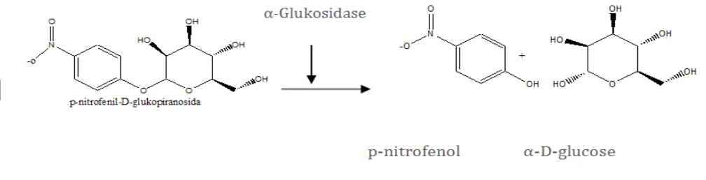 Figure 1. Reaction mechanism decomposition of the substrate p-nitrophenyl α-D- glukopiranosida.