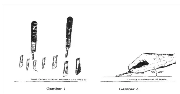 Gambar 2.1 Jenis-jenis scalpel (kiri), dan Cara Memegang scalpel(kanan). 
