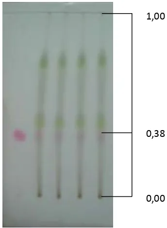 Gambar 2. Spotdan standar  artemisinin pada plat TLC dengan  hasil kultur  Artemisia annua L