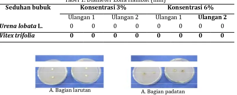 Tabel 1. Diameter Zona Hambat (mm)konsentrasi 3%