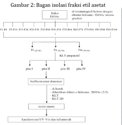 Gambar 2: Bagan isolasi fraksi etil asetat 
