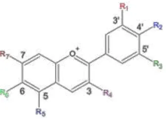 Gambar 1. Struktur kimia dasar antosianin 