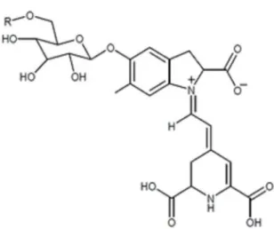 Gambar 1. Struktur senyawa betasianin