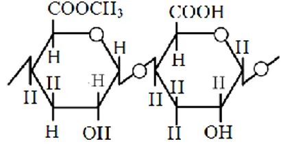 Gambar 1. Struktur Kimia Pektin dengan  Sejumlah Variabel Gugus Metil Ester 