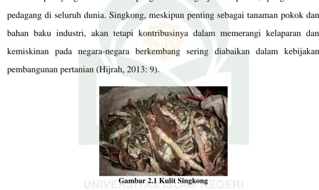 Gambar 2.1 Kulit Singkong 