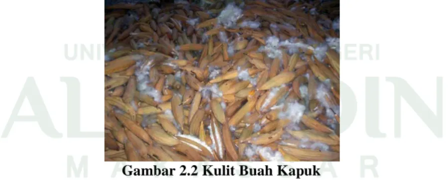 Gambar 2.2 Kulit Buah Kapuk 