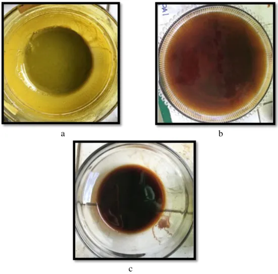 Gambar 4. (a) ekstrak  n-heksan, (b) ekstrak  etil asetat,  (c) ekstrak etanol+air. c 
