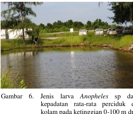 Gambar 7. Kepadatan larva An. subpictus, An. vagus, An. farauti sp di kolam pada ketinggian 0-100 m dpl 