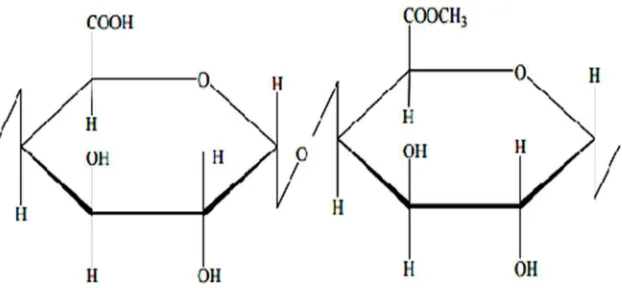 Gambar 3. Struktur kimia pektin (foodchem-studio.com) 