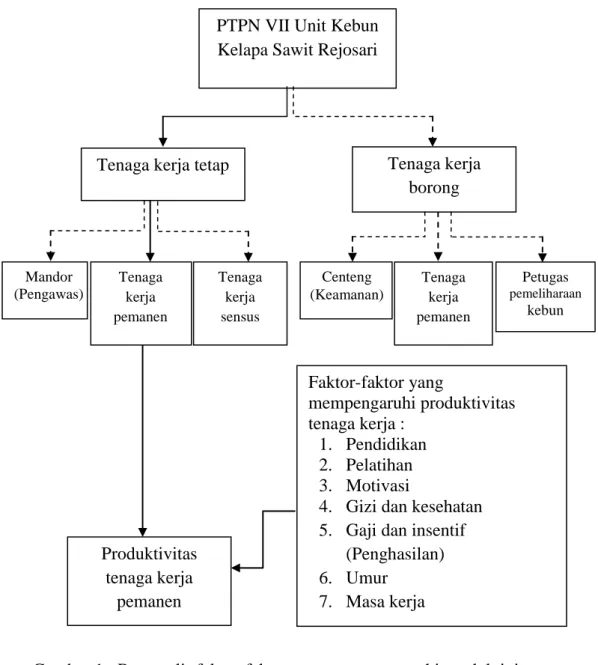 FAKTOR-FAKTOR YANG MEMPENGARUHI PRODUKTIVITAS TENAGA KERJA PEMANEN DI ...