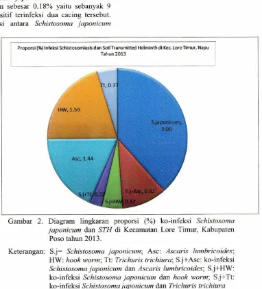 Gambar 2. Diagram lingkaran proporsi (%) ko-infeksi Schistosoma 