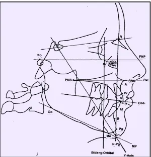 Gambar 4. Titik antropometri, garis dan bidang referensi2 