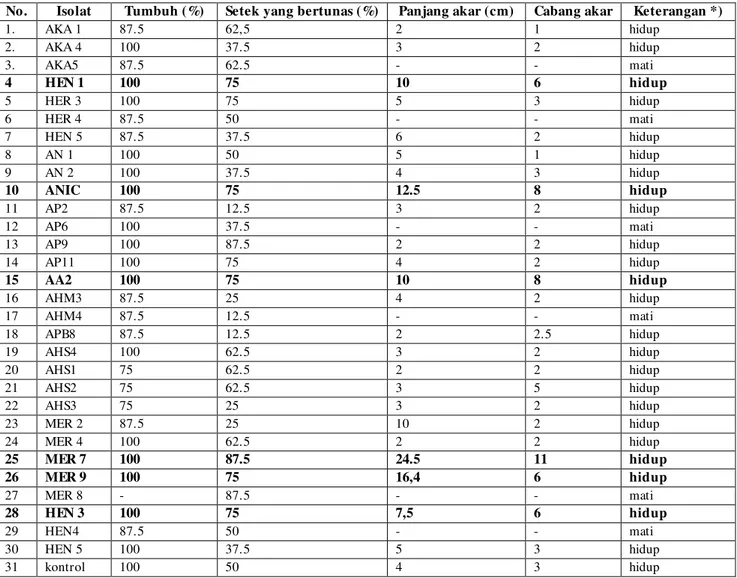 Tabel  1.     Pengaruh 30 isolat bakteri endofit asal tanaman lada Bangka, Sukabumi  dan Bogor terhadap pertumbuhan lada 1 bulan  setelah perlakuan 