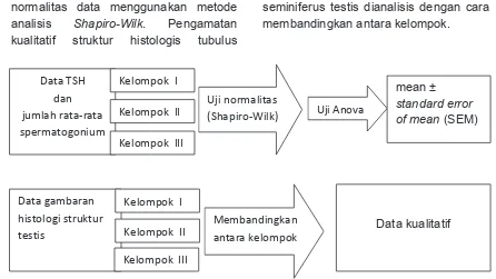 Tabel 1. Kadar TSH  dan  Jumlah Rata-rata Sel  Spermatogonium  (mean ± SEM)  Tikus Kelompok Iodium, Selenium + Iodium dan  Kelompok Kontrol (Hipotiroid).