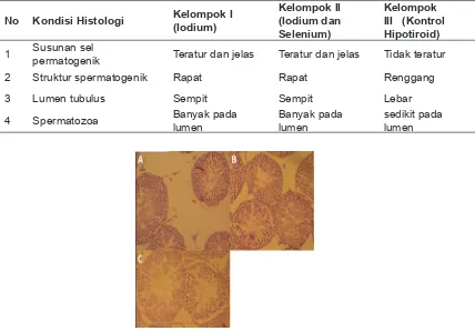 Tabel 2. Gambaran Histologis Tubulus Seminiferus Tikus Perlakuan dan Kontrol Hipotiroid
