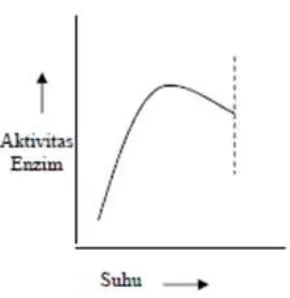 Gambar 2. 2 Hubungan suhu dengan aktivitas enzim (Shahib, 2005) 