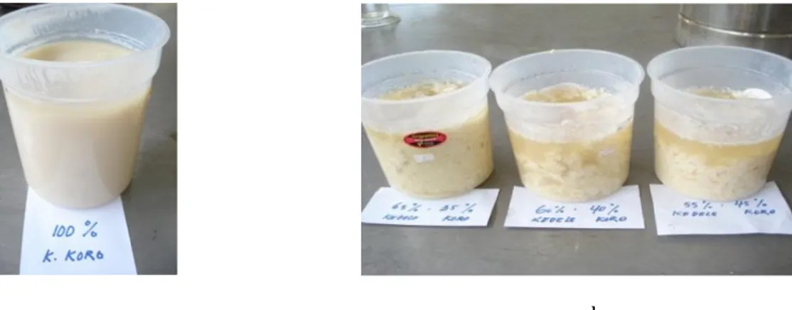 Gambar 2. Gambar proses koagulasi protein (a. Foto  produk susu  kacang  koro  100%; b