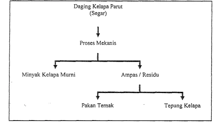Gambar 1. Diagram skema pemanfaatan daging kelapa (Syah et. nl., 2004) 