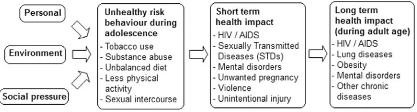 Gambar 1. Factors affecting teen health behaviours (Hendarson et al, 1998)