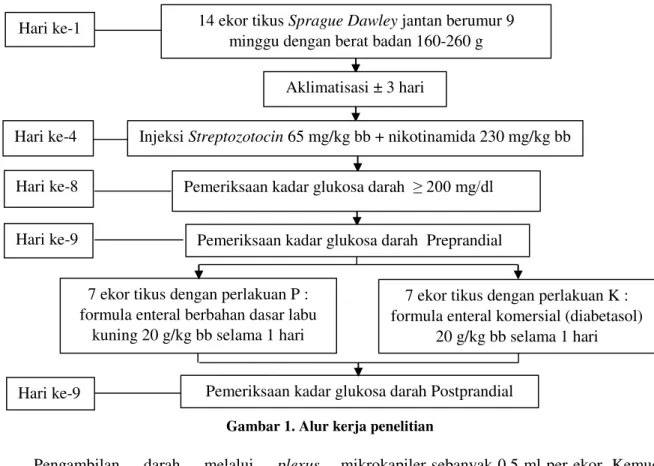Gambar 1. Alur kerja penelitian 