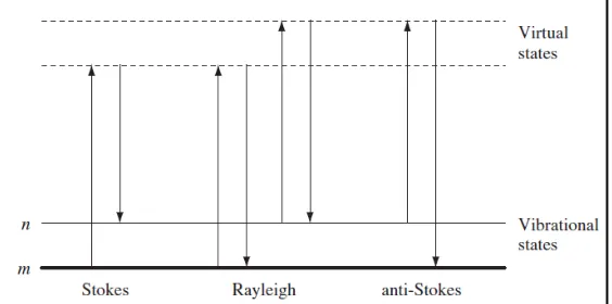 Gambar 2.1 Diagram Biasan Rayleigh dan Biasan Raman (Smith and Dent,   2005) 
