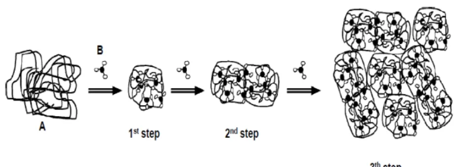 Gambar 2.7. Mekanisme Pengikatan antara Protein  Putih Telur dan  Tanin, (A) Protein, dan (B) Tanin 