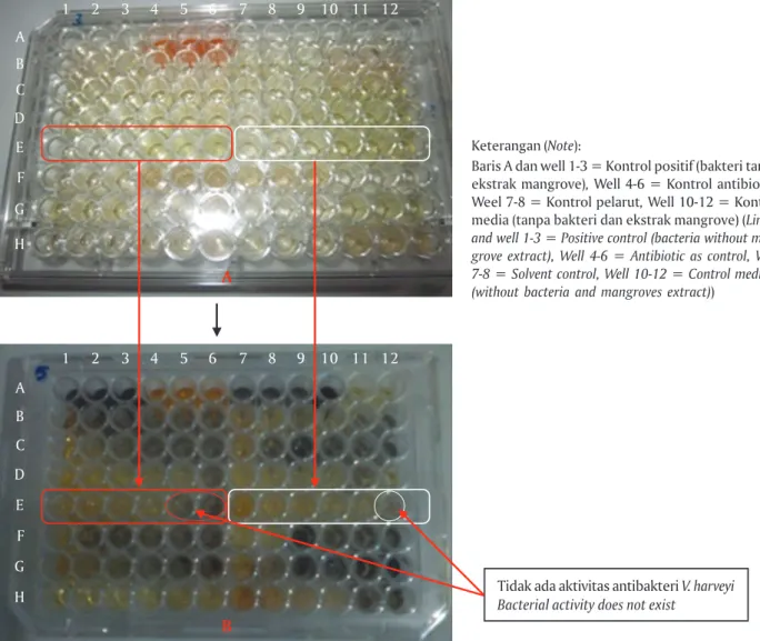 Figure 2. Quantitative bioassay test of methanol extracted of mangrove herbal on V. harveyi shrimp disease againstABCDEFGHABCDEFGH123456789 10 11 12123456789 10 11 12Keterangan (Note):