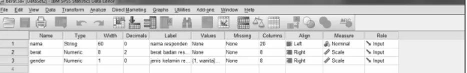 Gambar 2.7 Tampilan Data View 