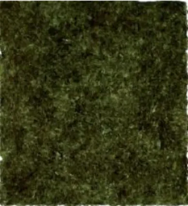 Gambar 2. 5 Nori 