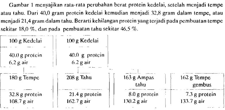 Gambar 1 menyajikan rata-rata perubahan berat protein kedelai, setelah mcnjadi tempe 