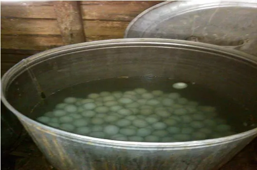 Gambar 7. Proses pemasakan telur asin dengan cara direbus(Sumber:Dokumentasi penelitian tanggal 23 Mei 2013)
