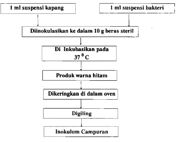 Tabel 1. Jumlah milooorganisme dalam 1 mi suspnsi 