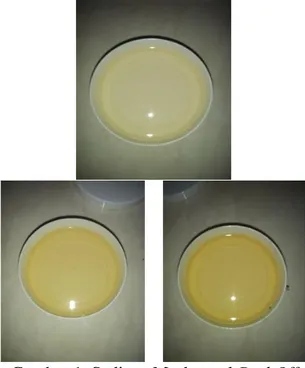 Gambar 1. Sediaan Masker gel Peel Off  Formula A, B, dan C