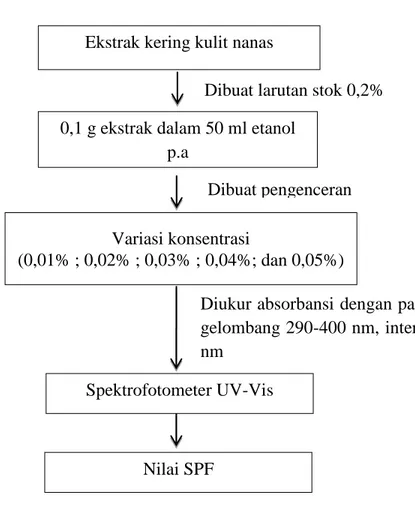Gambar 4.  Skema penentuan konsentrasi ekstrak etanol kulit nanas 