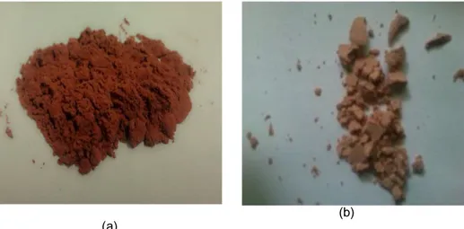 Gambar 3 .a) Serbuk pigmen dengan filter maltodekstrin 5%, b) Serbuk pigmen maltodekstrin 10% 