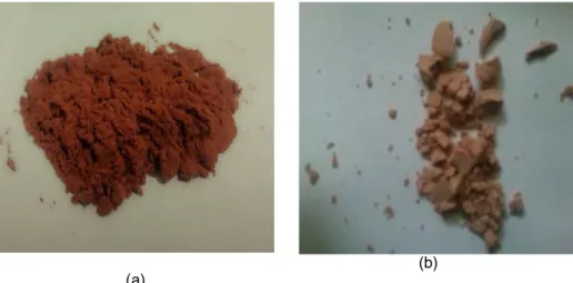 Gambar 3 .a) Serbuk pigmen dengan filter maltodekstrin 5%, b) Serbuk pigmen maltodekstrin 10% (a) 