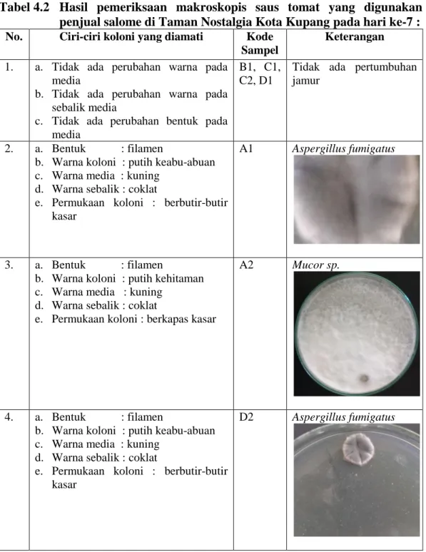 Tabel 4.2  Hasil  pemeriksaan  makroskopis  saus  tomat  yang  digunakan  penjual salome di Taman Nostalgia Kota Kupang pada hari ke-7 :  No